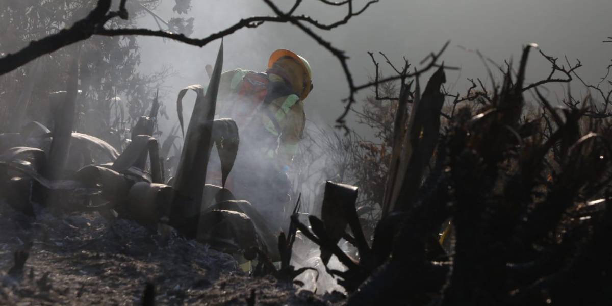 Quito: el incendio en el cerro Casitagua fue controlado luego de 30 horas