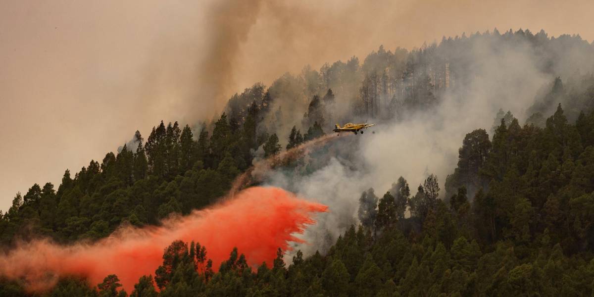 España: más de 2 000 hectáreas calcinadas por un incendio en las islas Canarias