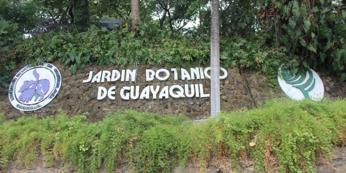 Fiestas de Guayaquil: un rincón natural dentro de la ciudad, ofrece a los visitantes el Jardín Botánico