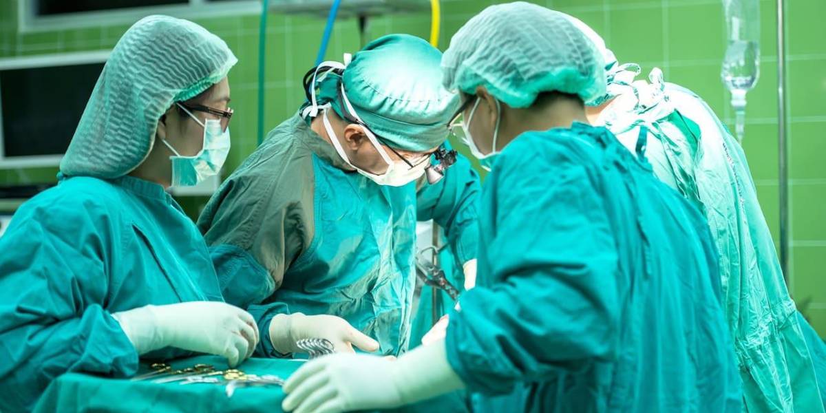 Cirujanos trasplantaron riñones de cerdo a un hombre con muerte cerebral en EE.UU.