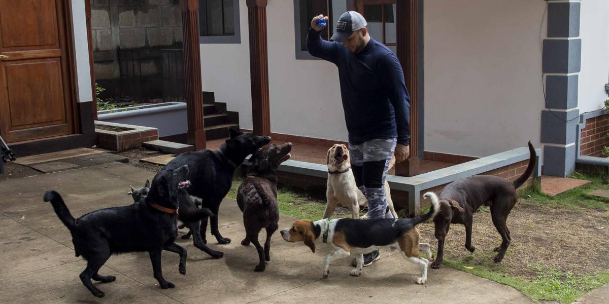 Escuela ayuda a perros con problemas de socialización en Nicaragua