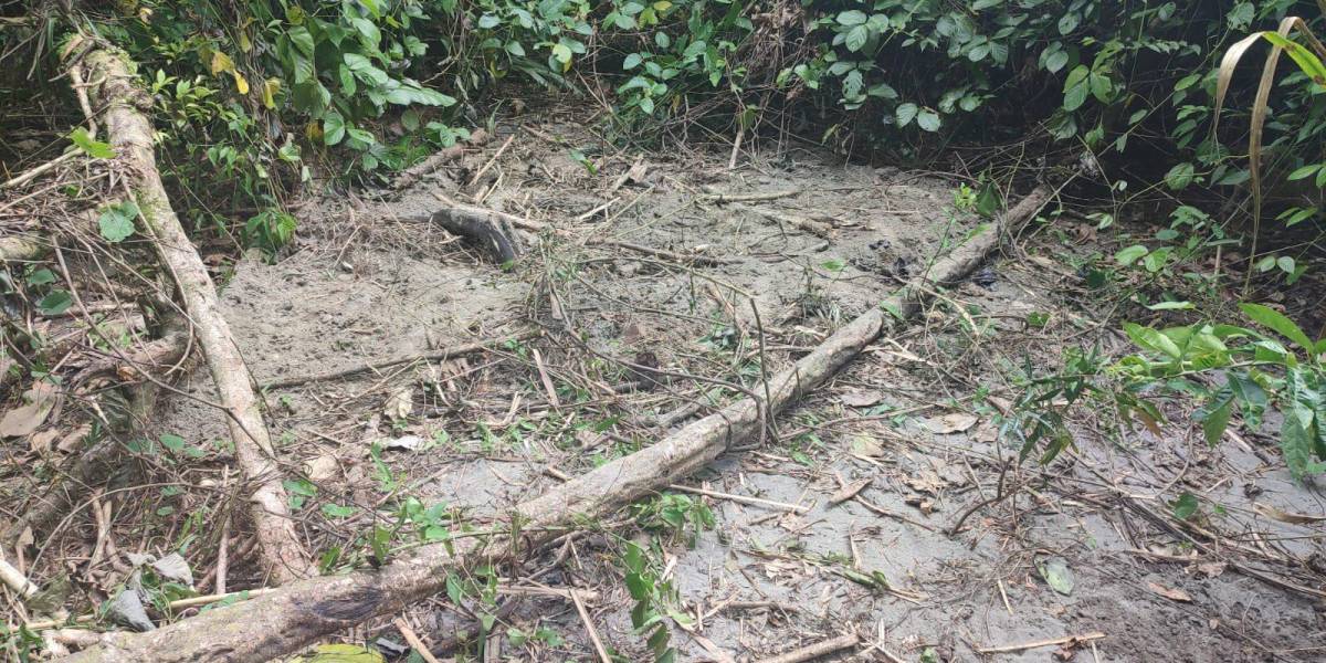Los cadáveres de tres jóvenes cantantes fueron hallados en las orillas del río Esmeraldas