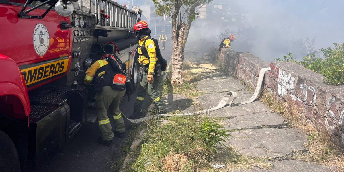 Incendios forestales Quito: el fuego en El Trébol y El Dorado fue controlado por los bomberos
