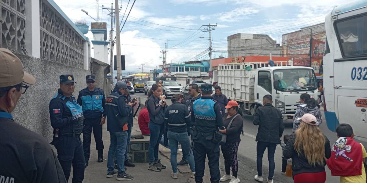 Quito | Así puede denunciar casos de animales atropellados