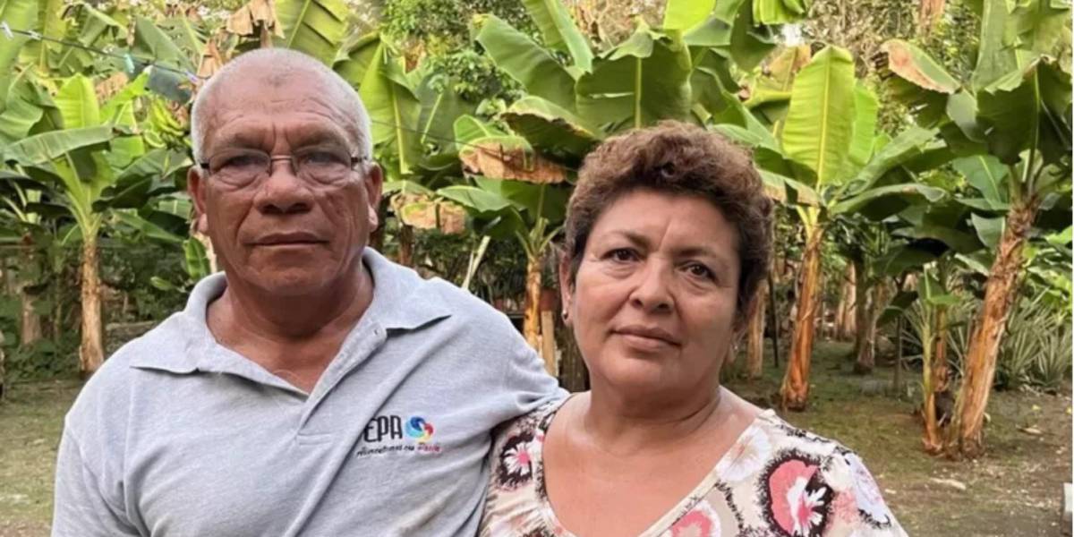 Los pesticidas nos dejaron estériles”: la denuncia de miles de trabajadores bananeros en América Latina