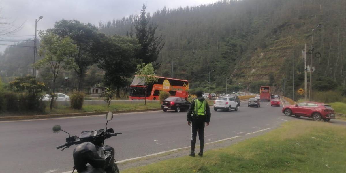 Quito: ¿cuáles son las vías donde más atropellamientos se registran?