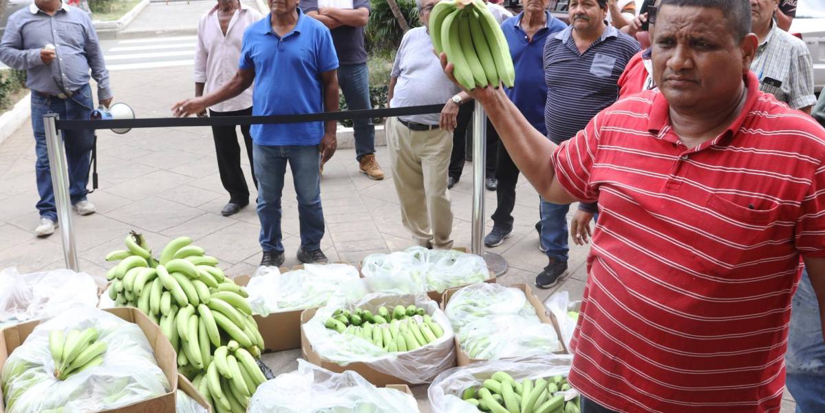 Ecuador busca nuevos mercados para su banano tras la suspensión de Rusia a cinco exportadoras