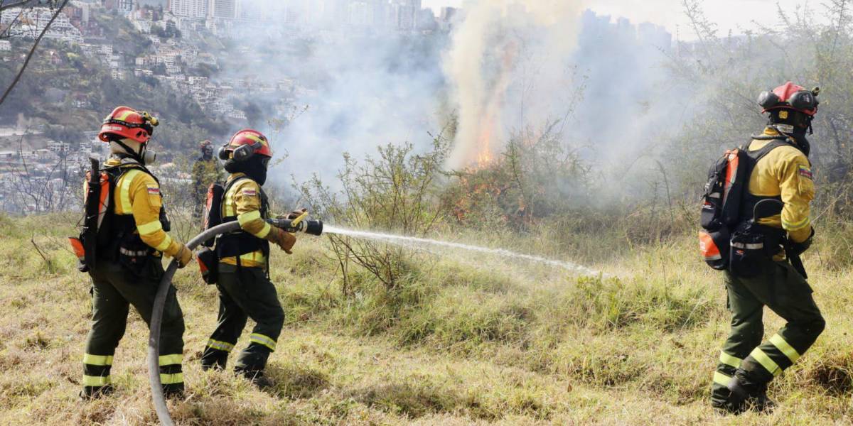 Incendios forestales en Quito: un hombre fue sancionado por una quema a cielo abierto