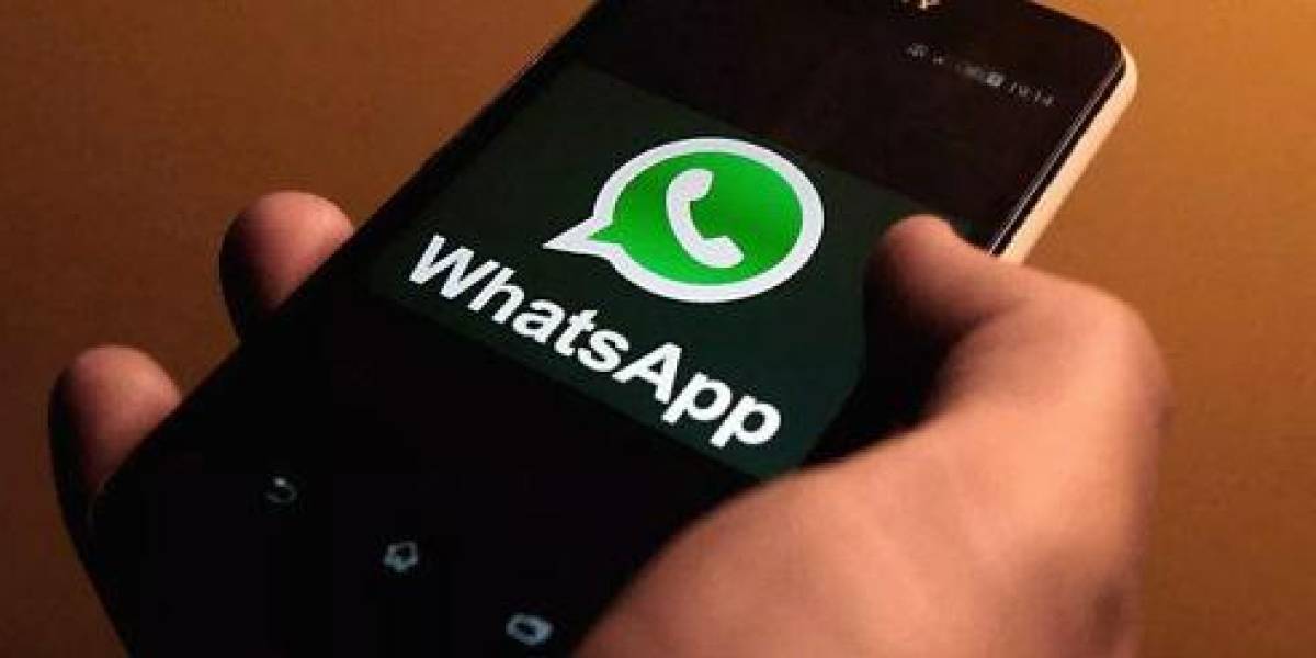 WhatsApp prepara la llegada de los boletines informativos, ¿cómo funcionará?