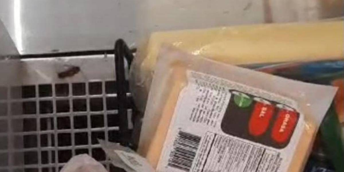 Un supermercado en Guayaquil es clausurado por tener cucarachas deambulando entre la comida