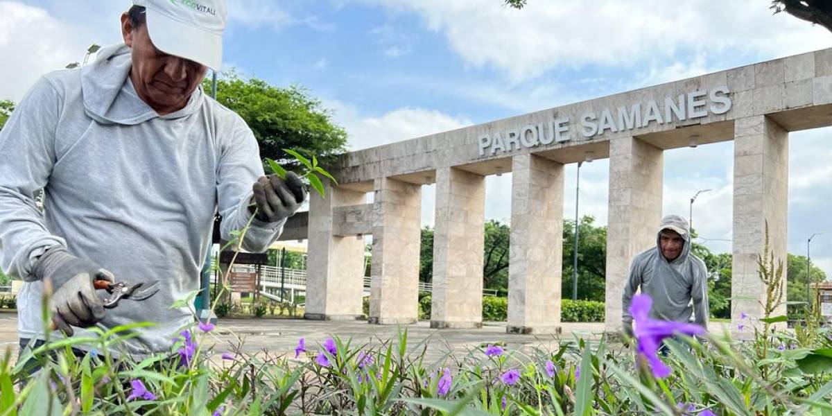 Los planes que tiene el Municipio de Guayaquil con el Parque Samanes