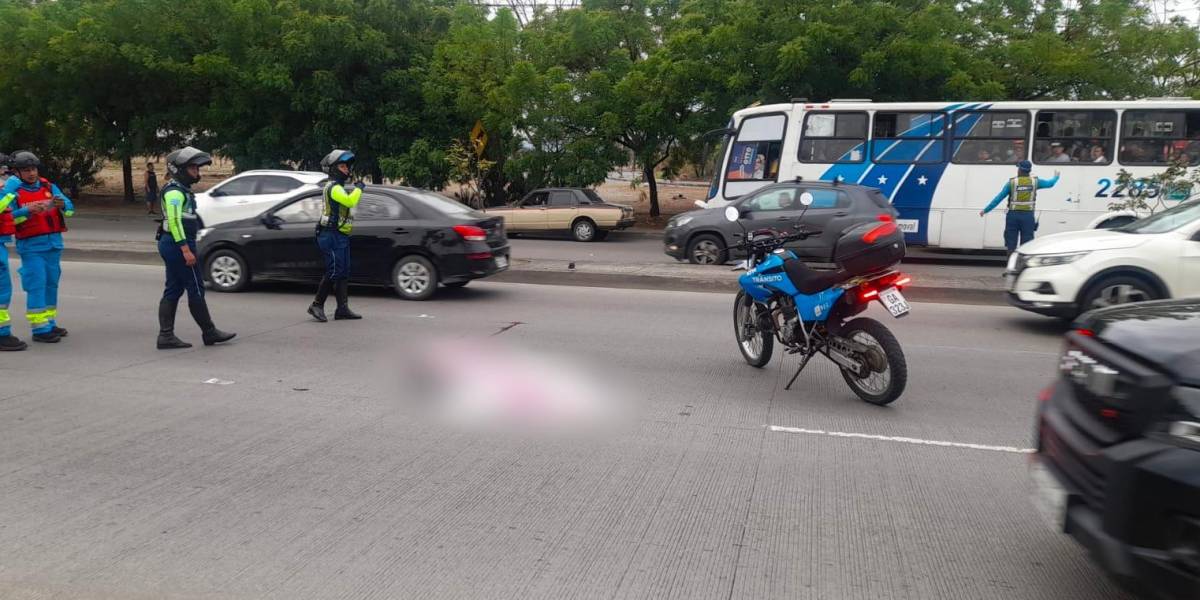 Un adulto mayor muere arrollado en la autopista Narcisa de Jesús, en Guayaquil