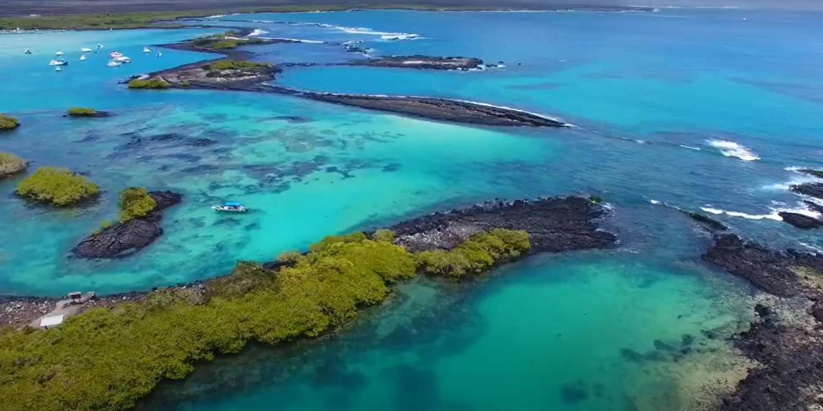 Gobierno declara ocho millas del perfil costero continental como reserva marina