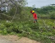Fotos de personas protestando, y de un obrero talando árboles de Manglar en Olón, Santa Elena.