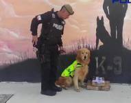 Imagen del can Lucas junto al paquete de droga que logró detectar en el aeropuerto de Quito.