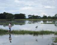 Las fuertes y continuas lluvias han dejado varios sectores anegados y familias damnificadas, en la foto el sector de Cascol de las Maravillas en Daule, Guayas.