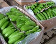 En esta semana no se han podido enviar más de 700 mil cajas de banano a Rusia y Ucrania