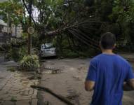 Un residente fue registrado este miércoles, 17 de enero, al observar los daños causados por las intensas lluvias y fuerte vientes en la ciudad de Porto Alegre (Río Grande do Sul, Brasil).