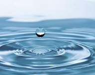 El agua es importante para muchos procesos fisiológicos.