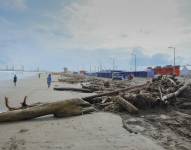 200 toneladas de troncos en la playa El Murciélago en Manta, Provincia de Manabí.