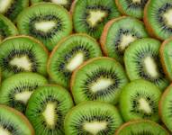 Dulce y algo amarga, el kiwi es una de las frutas favoritas de muchos.