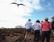 Las maravillosas Islas Galápagos se convierten en foco de interés por los hechos ocurridos en lo que va de 2023, pero eso no apaga la alertas de lo que ocurre con el masivo turismo que llega al archipiélago.