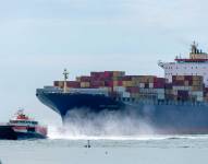 La principal empresa de transporte de carga marítima en el mundo, MSC, dejará de operar en el puerto estatal de Contecon, en Guayaquil.