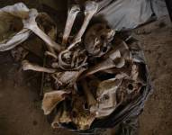 Restos humanos encontrados en uno de los depósitos del cementerio de La Plata
