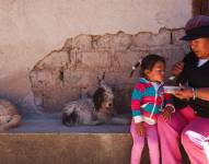 En Ecuador, según la Cepal, uno de cada 4 niños menores de 5 años presenta desnutrición crónica infantil. Unicef/Archivo