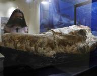 Un fósil marino de Babilosaurio de Ocucaje, uno de las mayores cetáceos que se conocen, es presentado en el museo de Historia Natural en Lima, después de haber permanecido entre las rocas del desierto del sur de Perú durante 36 millones de años. EFE/ Paolo Aguilar