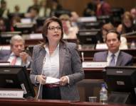 Wilma Andrade (ID) fue asambleísta en el periodo 2017-2021. En la actualidad ocupa el mismo cargo.