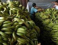 Entre enero y marzo se exportaron 96,03 millones de cajas de banano.