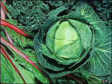 Ciertas verduras &quot;pueden reducir el riesgo de diabetes&quot;