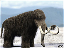 ¿Por qué se extinguieron los mamuts?