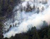 Fotografía de un incendio forestal hoy, en el cerro El Cable, en Bogotá.
