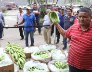 En Guayaquil, bananeros exigieron el pago del precio mínimo de sustentación de la caja de banano.