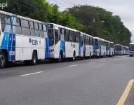 La flota de buses ha permanecido estacionada en los costados de las vías.