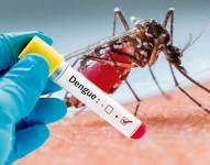 El dengue se transmite a las personas por medio de la picadura de un mosquito infectado de la especie Aedes.