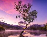 La fotógrafa Andrea Graham logró capturar la magia del amanecer durante un viaje a un parque nacional ubicado en Gales.