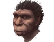 Ilustración del Homo bodoensis.