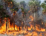 Incendio forestal en Paraguarí amenaza al Cerro León, en Paraguay.