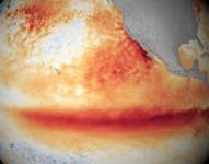 Aquí se ve cómo El Niño calentó la superficie del Pacífico en 2015.