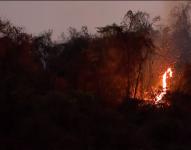 Incendio Forestal en las cercanías de Guayaquil.