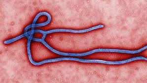 Un nuevo test revela en minutos si una persona está contagiada con el ébola