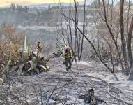 Incendio forestal registrado el 31 de agosto, en el sector de Guambi - Tababela.