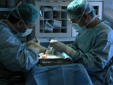 España forma a 350 responsables de trasplantes latinoamericanos