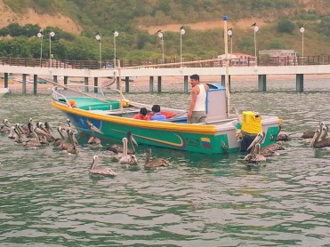 Puerto López fue declarada área turística protegida