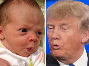 Bebés con cara de Donald Trump