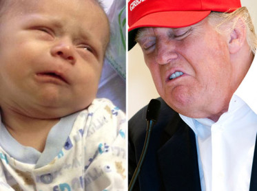 Bebés con cara de Donald Trump