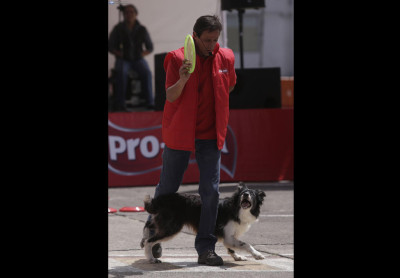 Expo Mascotas Quito: La gran experiencia para las mascotas